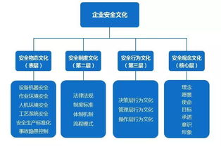 安全月2018 華總論安全——以文化為基，鑄就場館管理服務新標桿
